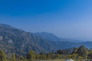 Bandhavgarh National Park – India