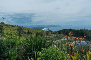 Waiheke Island – New Zealand
