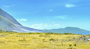 Wairarapa & Surrounds – New Zealand