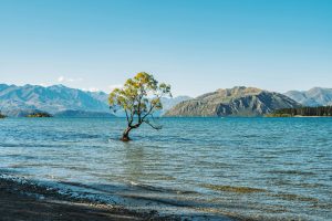 Lake Wanaka – New Zealand