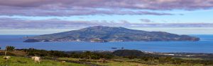 Marlborough Sounds – New Zealand